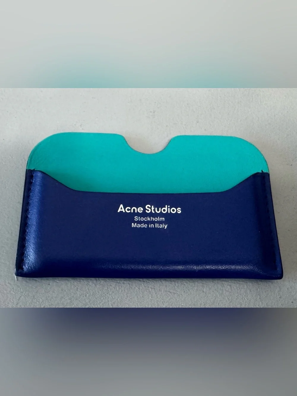 Acne Studios Navy and Teal Leather Cardholder